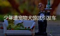 少年遭寵物犬驚擾引發(fā)車禍 犬主被判賠償15萬