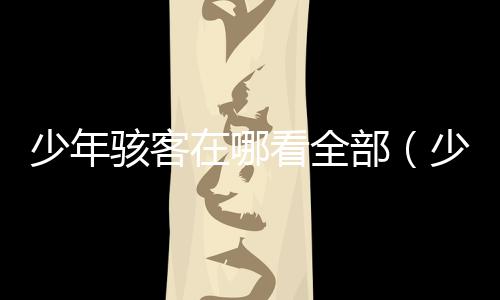 少年駭客在哪看全部（少年駭客觀看順序）