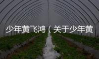 少年黃飛鴻（關于少年黃飛鴻的基本情況說明介紹）