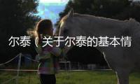 爾泰（關于爾泰的基本情況說明介紹）
