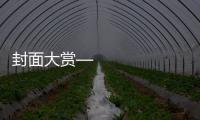 封面大賞—