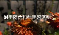 射手網偽和射手網區別（射手網(偽)）