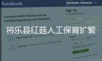 將樂縣紅菇人工保育擴繁試驗獲高產(chǎn) 每畝產(chǎn)值超萬元