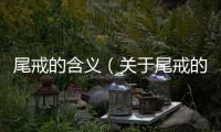 尾戒的含義（關于尾戒的含義的基本情況說明介紹）