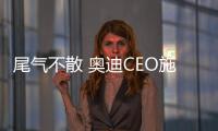 尾氣不散 奧迪CEO施泰德將“二進宮”