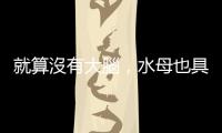 就算沒有大腦，水母也具有從過往經(jīng)驗學習的能力