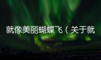 就像美麗蝴蝶飛（關(guān)于就像美麗蝴蝶飛的基本情況說明介紹）