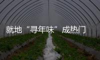 就地“尋年味”成熱門 酒店成為團圓新場景