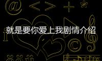 就是要你愛上我劇情介紹(1