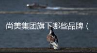 尚美集團旗下哪些品牌（尚美集團旗下酒店）