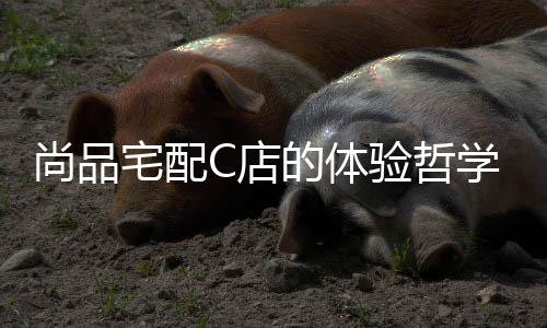 尚品宅配C店的體驗哲學？21世紀商業(yè)評論權(quán)威解讀
