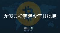 尤溪縣檢察院今年共批捕電信網絡詐騙犯罪案3件7人