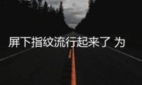 屏下指紋流行起來(lái)了 為什么屏下攝像頭不能普及？