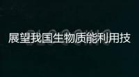 展望我國(guó)生物質(zhì)能利用技術(shù)