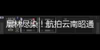 層林盡染！航拍云南昭通銅鑼壩國家森林公園美景