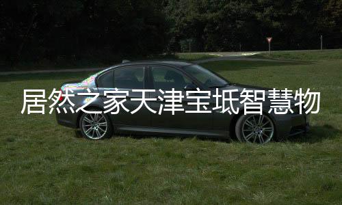 居然之家天津?qū)氎嬷腔畚锪鲌@盛大開園,打造家居產(chǎn)業(yè)新標(biāo)桿