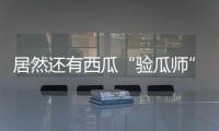 居然還有西瓜“驗(yàn)瓜師”！吃瓜季節(jié)他們成“香餑餑”