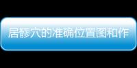 居髎穴的準(zhǔn)確位置圖和作用，筑賓穴位位置圖和作用