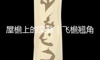 屋檐上的文脈｜飛檐翹角皆古韻，頂上技藝顯華章