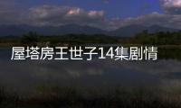 屋塔房王世子14集劇情詳細介紹