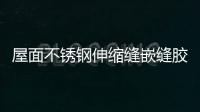 屋面不銹鋼伸縮縫嵌縫膠（聚硫膠）