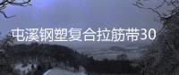 屯溪鋼塑復合拉筋帶30020B價格