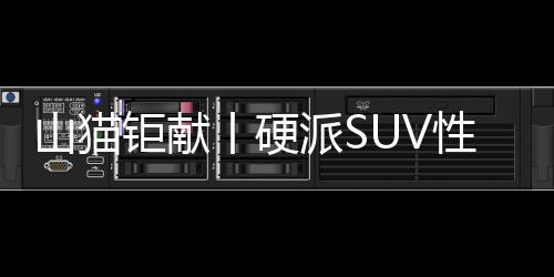 山貓鉅獻丨硬派SUV性價比首選，2020款帕杰羅攜四重禮來襲
