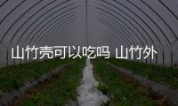 山竹殼可以吃嗎 山竹外殼有什么用處