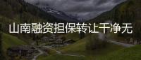 山南融資擔(dān)保轉(zhuǎn)讓干凈無(wú)異常