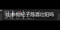 山參枸杞子泡酒壯陽嗎