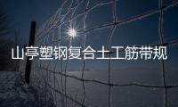 山亭塑鋼復(fù)合土工筋帶規(guī)格