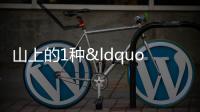 山上的1種“刺老芽”，以往村民當(dāng)柴燒，養(yǎng)1棵在家，增值9倍