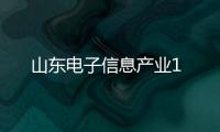 山東電子信息產(chǎn)業(yè)1