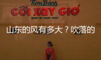 山東的風有多大？吹落的太陽能恐怕數不勝數