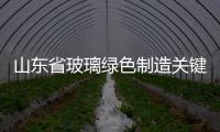 山東省玻璃綠色制造關(guān)鍵技術(shù)的研發(fā)”項目通過現(xiàn)場考核,行業(yè)會議