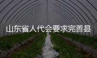 山東省人代會要求完善縣鄉村寄遞物流體系建設