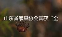 山東省家具協會喜獲“全國先進社會組織”稱號