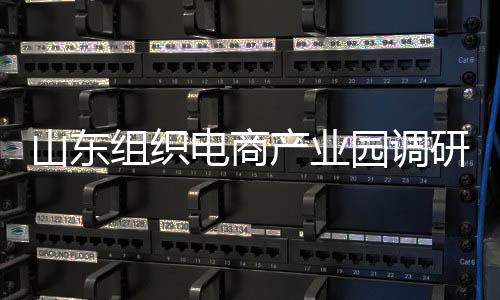 山東組織電商產業園調研指導活動 督促企業履行主體責任