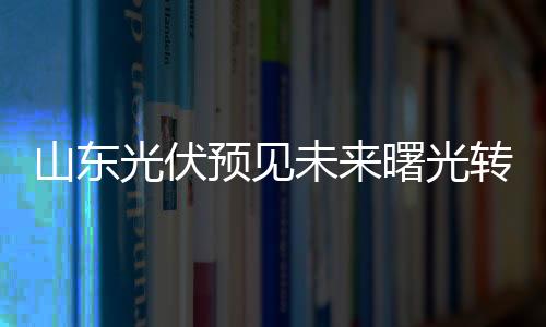 山東光伏預見未來曙光轉戰國內市場,行業資訊