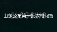 山東公布第一批農(nóng)村假冒偽劣食品整治行動(dòng)典型案例