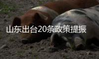 山東出臺(tái)20條政策提振住房消費(fèi),一季度計(jì)劃組織至少150場(chǎng)住房消費(fèi)類活動(dòng)