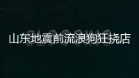 山東地震前流浪狗狂撓店門叫醒店主：以前來避過兩次雨，自己都喂了它