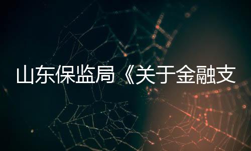 山東保監(jiān)局《關于金融支持山東省文化產(chǎn)業(yè)振興和發(fā)展繁榮實施意見》