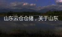 山東云倉(cāng)倉(cāng)儲(chǔ)，關(guān)于山東云倉(cāng)軟件科技詳細(xì)情況