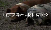 山東京博環(huán)保材料有限公司受邀參加行業(yè)發(fā)展論壇