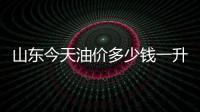 山東今天油價多少錢一升92，關于山東今日油價格查詢價目表詳細情況