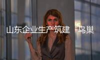 山東企業(yè)生產筑建“鳥巢的玻璃”,行業(yè)資訊