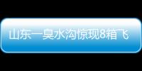 山東一臭水溝驚現8箱飛天茅臺 警方：是贓物，市值20多萬