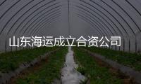 山東海運(yùn)成立合資公司 以進(jìn)行船隊(duì)擴(kuò)建