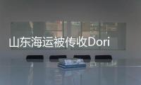 山東海運被傳收Dorian新造VLGC